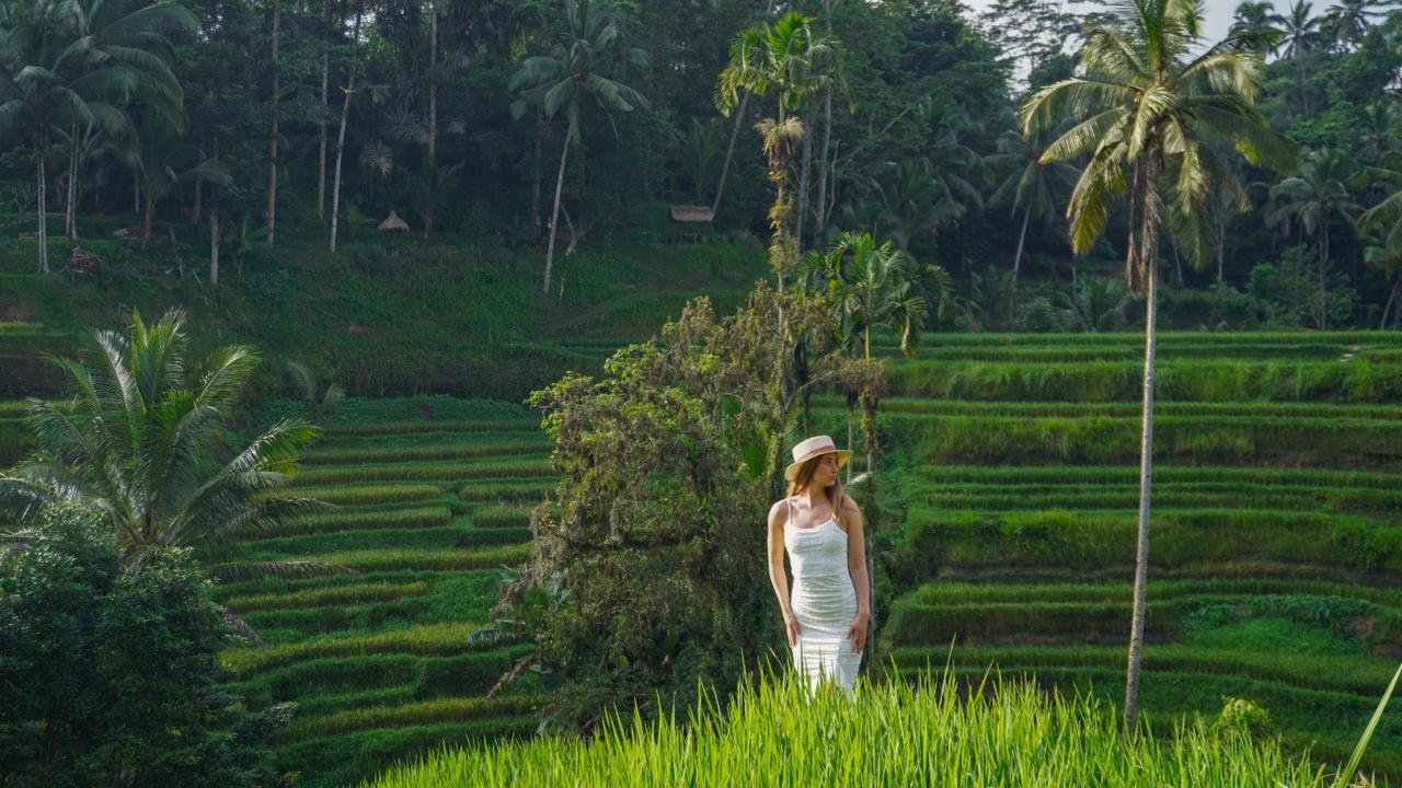 WhatsApp Image 2025-01-23 at 14.12.39_188ee2e4